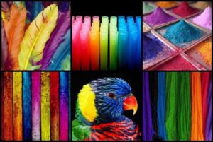 Бесплатные конвертеры изображений